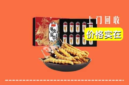 合肥市瑶海回收冬虫夏草
